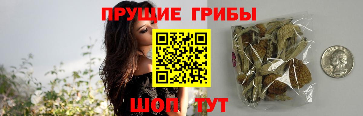 Галлюциногенные грибы ЛСД Барнаул